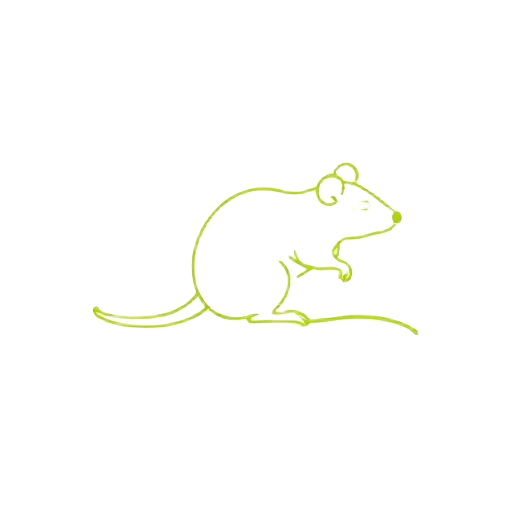 Rats et souris